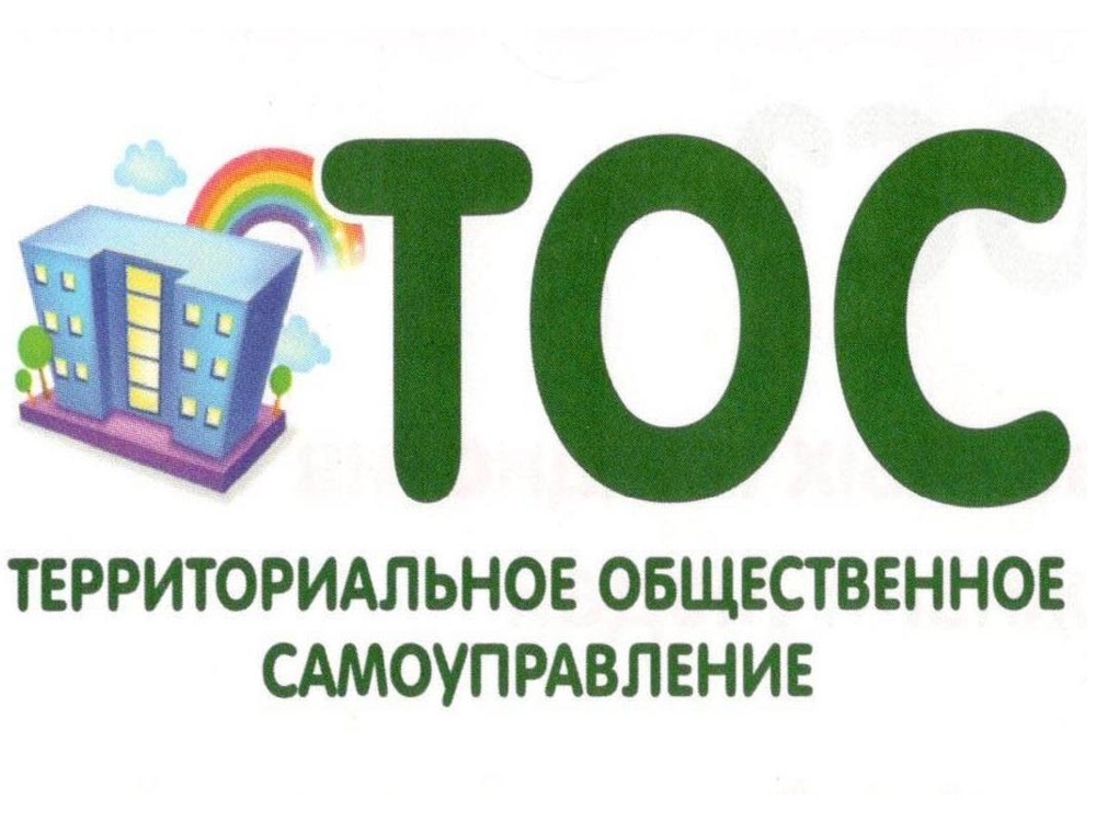 День территориального общественного самоуправления.